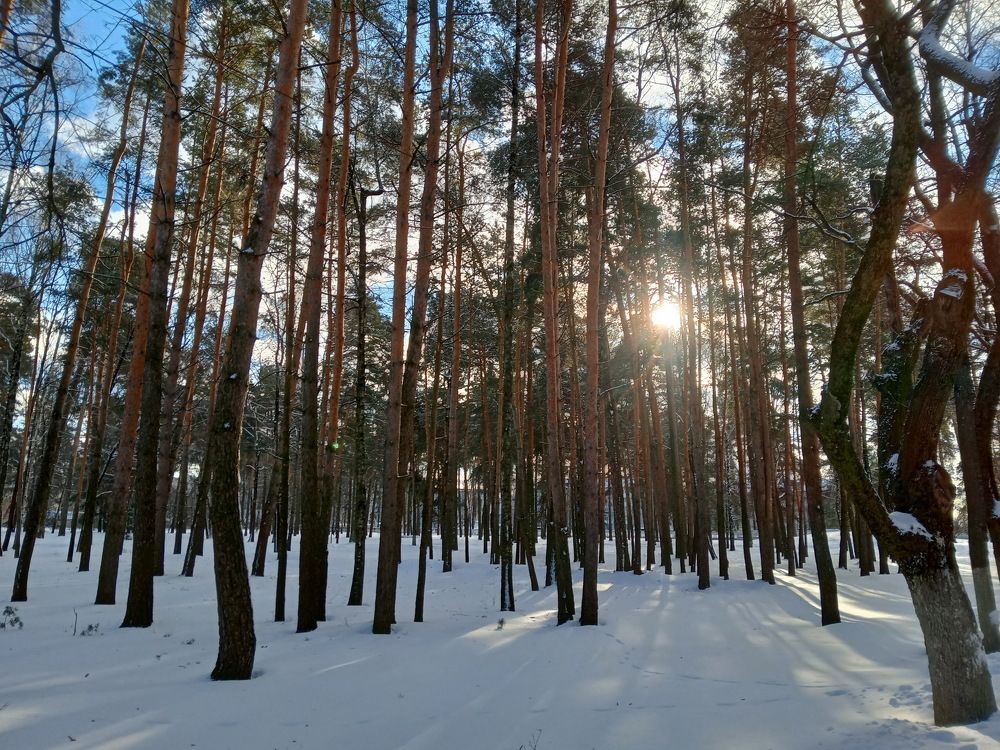 Photograph by Александр Гришин