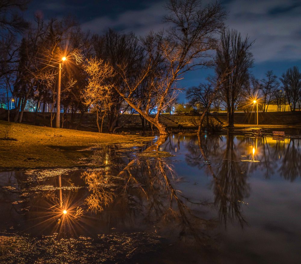 Вечер на пруду