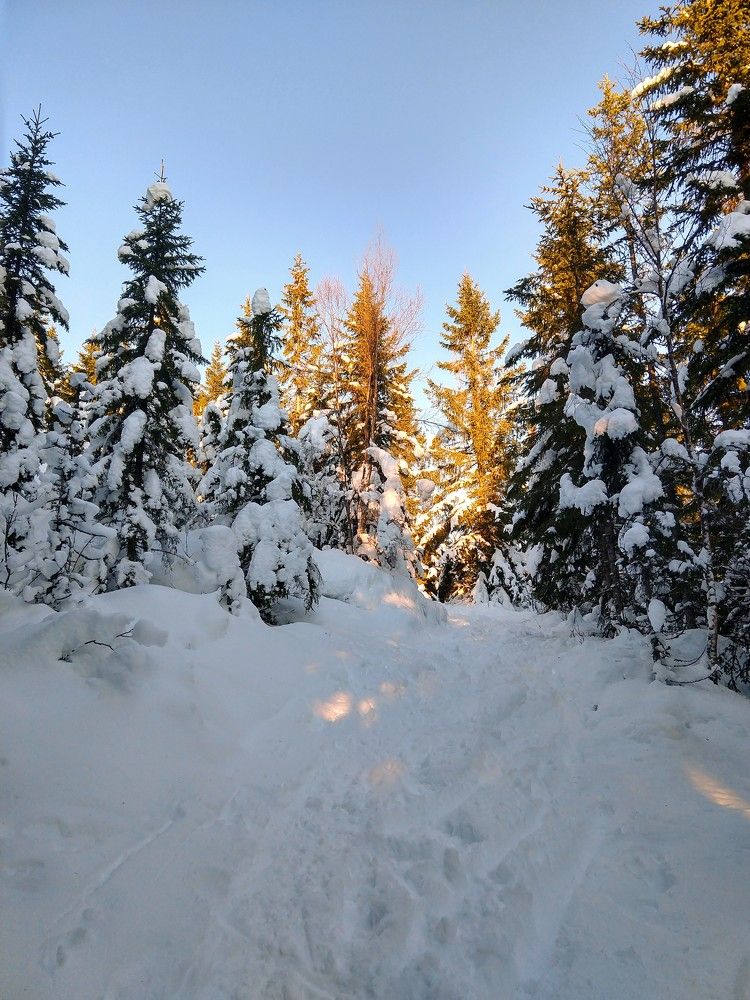 Photograph by Маргарита Венсил.