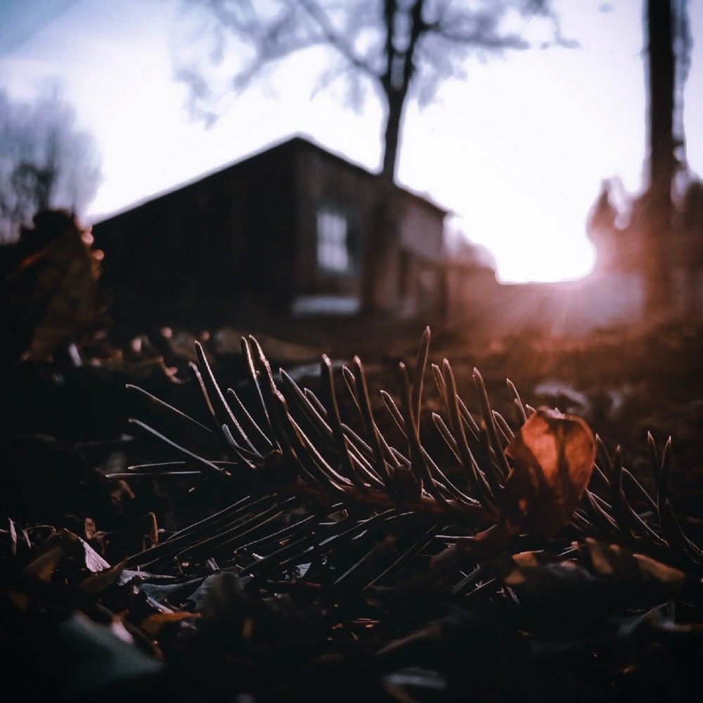 Photograph by Артём Оганесян