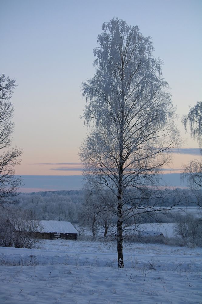 Photograph by Юлия Гаврильчик