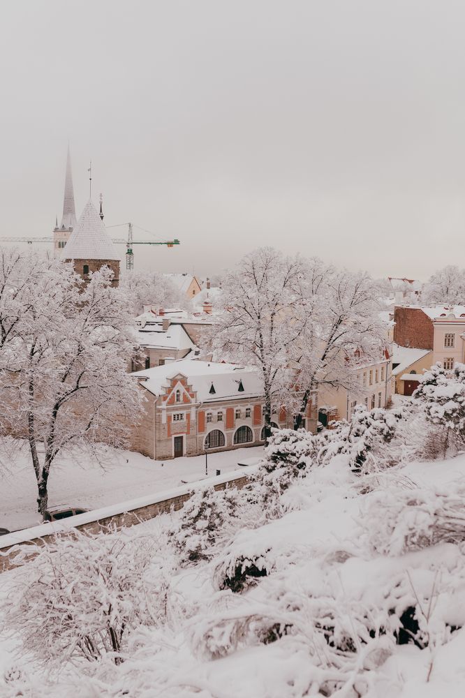 Photograph by Victoria Bereziner