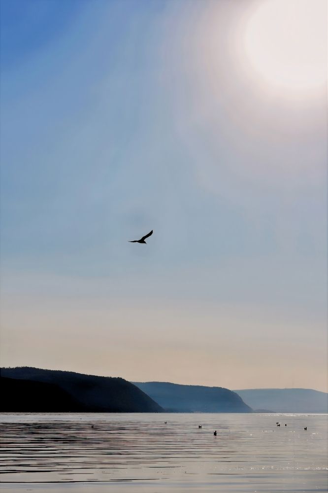 Photograph by Наталья Иванова