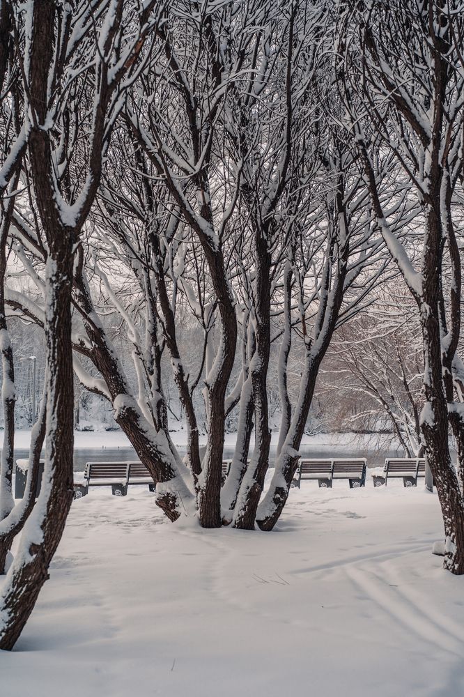 Photograph by Anna Brench