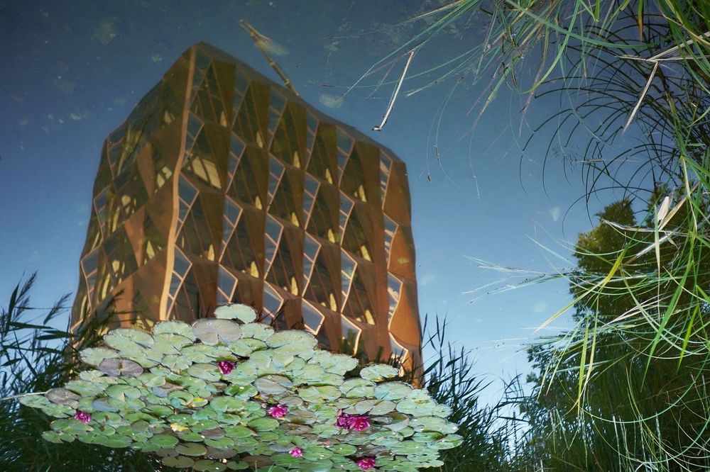 Photograph by Дима Городилов