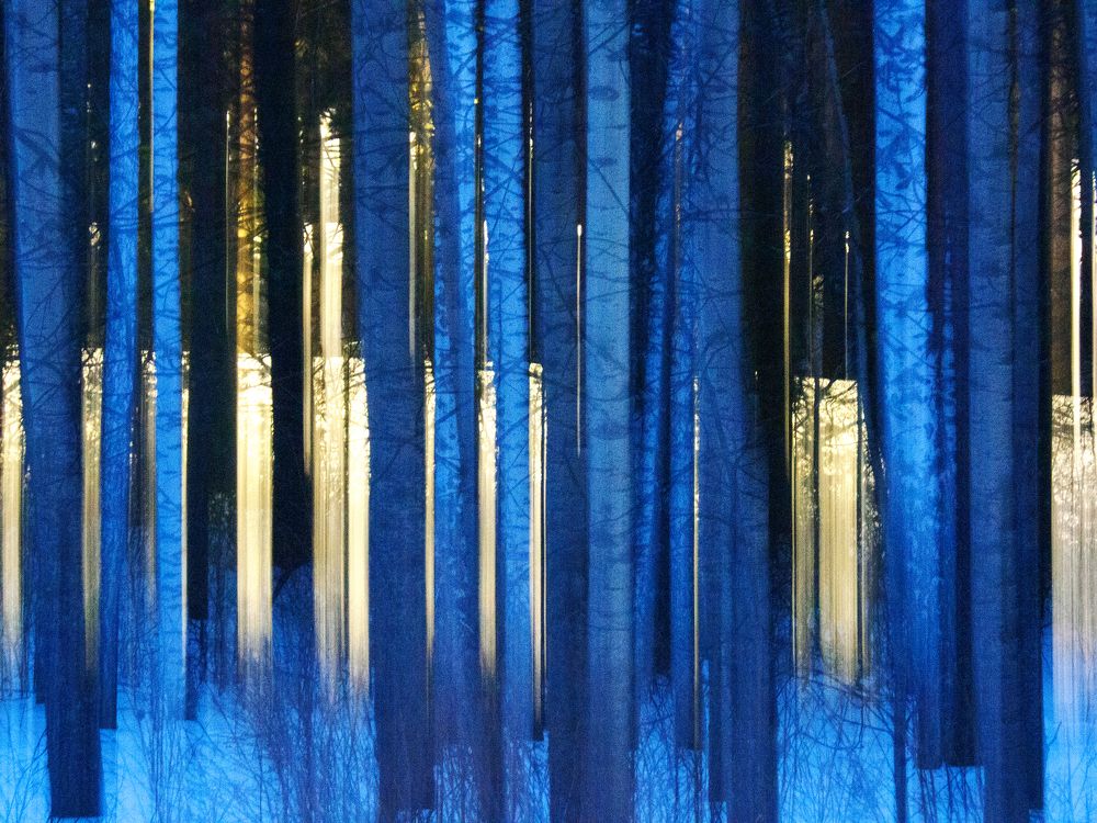 Photograph by Светлана Андреева