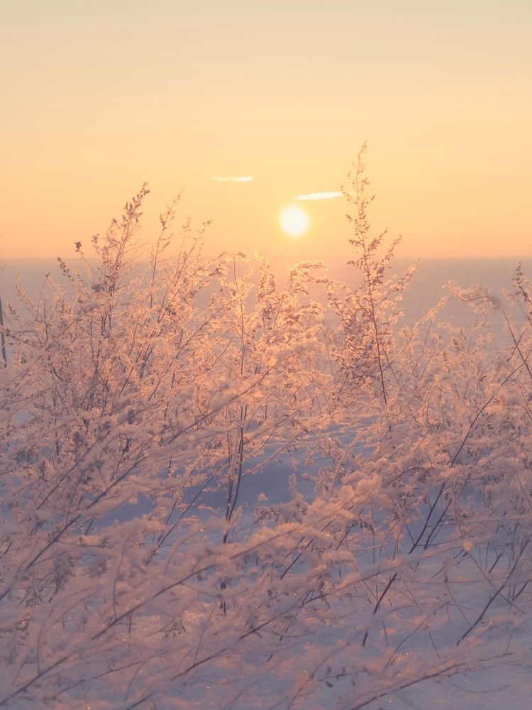 Фотография автора Вячеслав