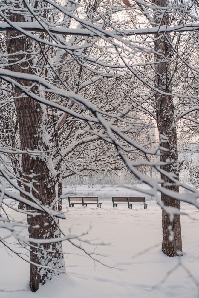 Photograph by Anna Brench