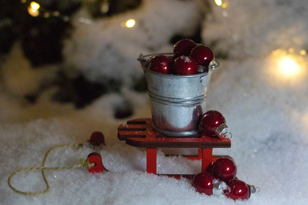 Photograph by Анастасия