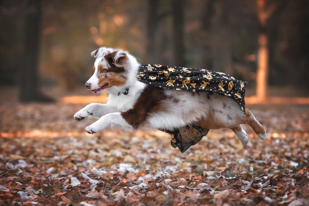 Фотография автора Анна Вильховая