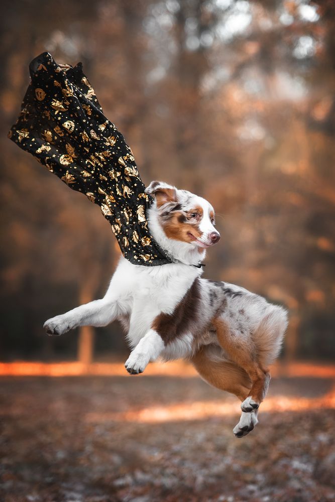 Фотография автора Анна Вильховая