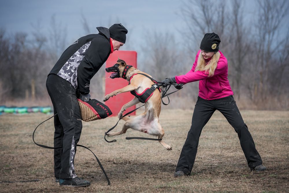Фотография автора Анна Вильховая