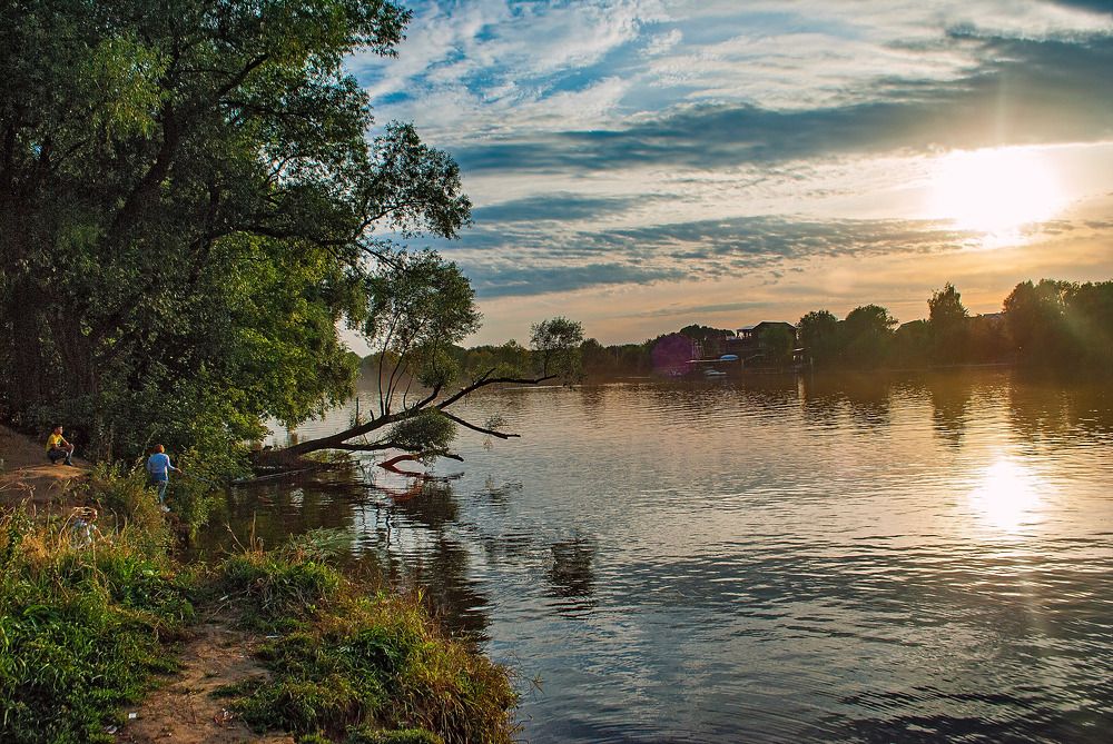 Фотография автора Елена Савельева