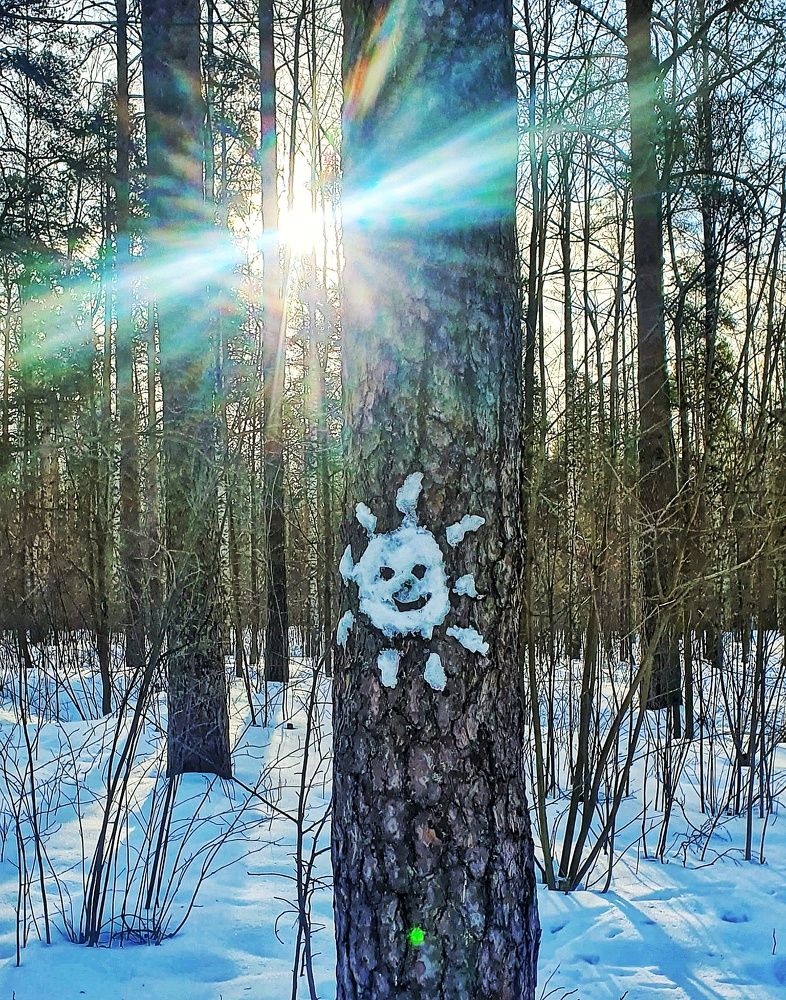 Photograph by Марина Безенкина