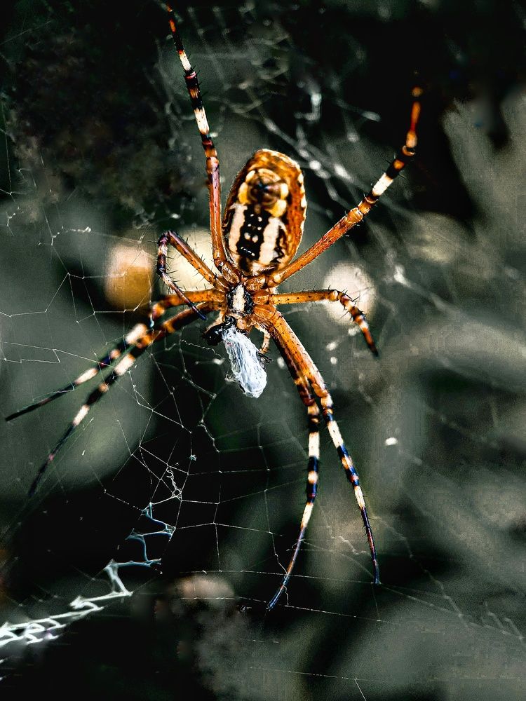 Photograph by Светлана Моисеева