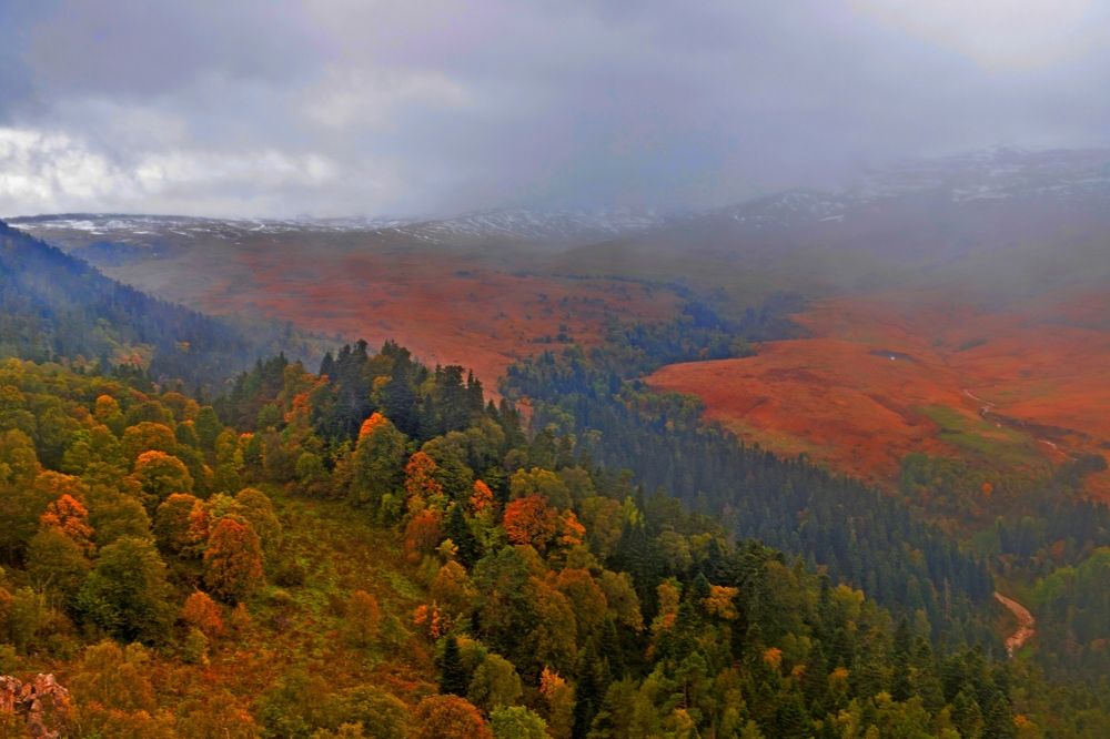 Photograph by Галина Суркова