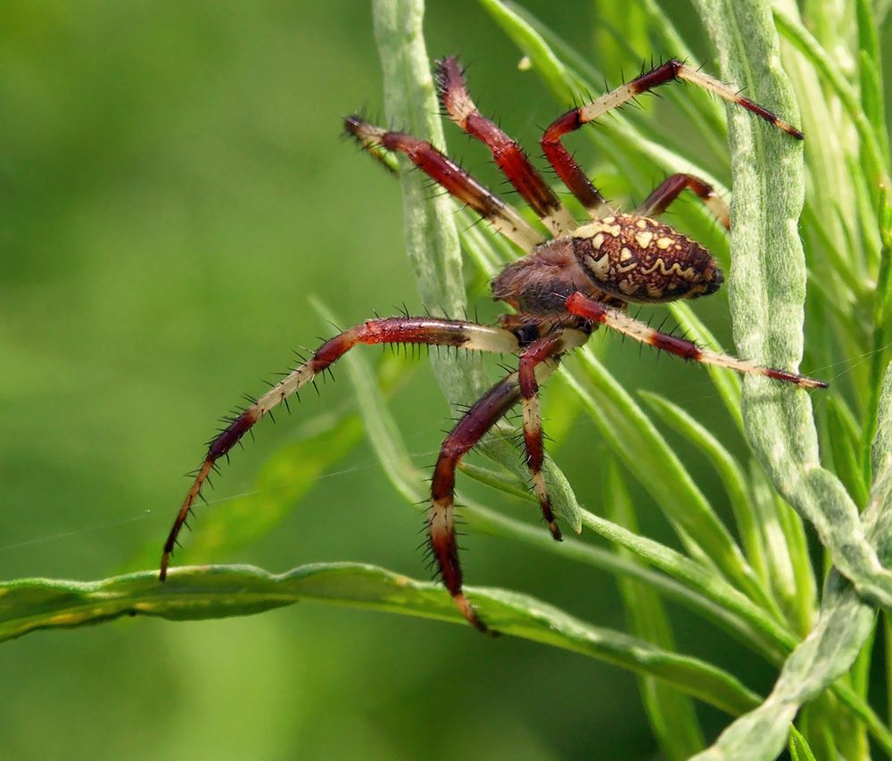 Photograph by Сарапулов Игорь