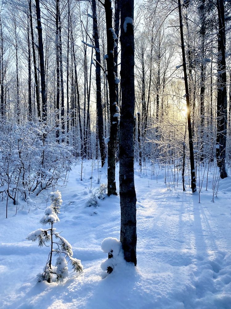 Photograph by Наталья Казачок