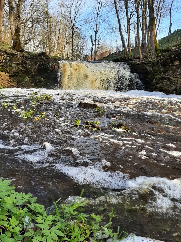 Фотография автора Алексан Арт