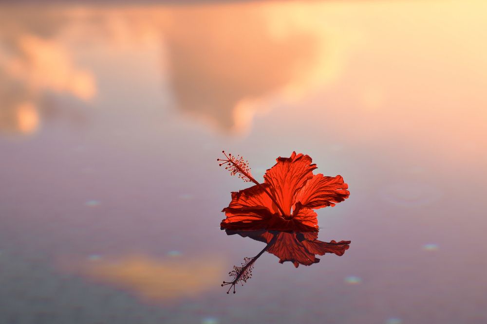 Фотография автора Evgeny Gorbunov