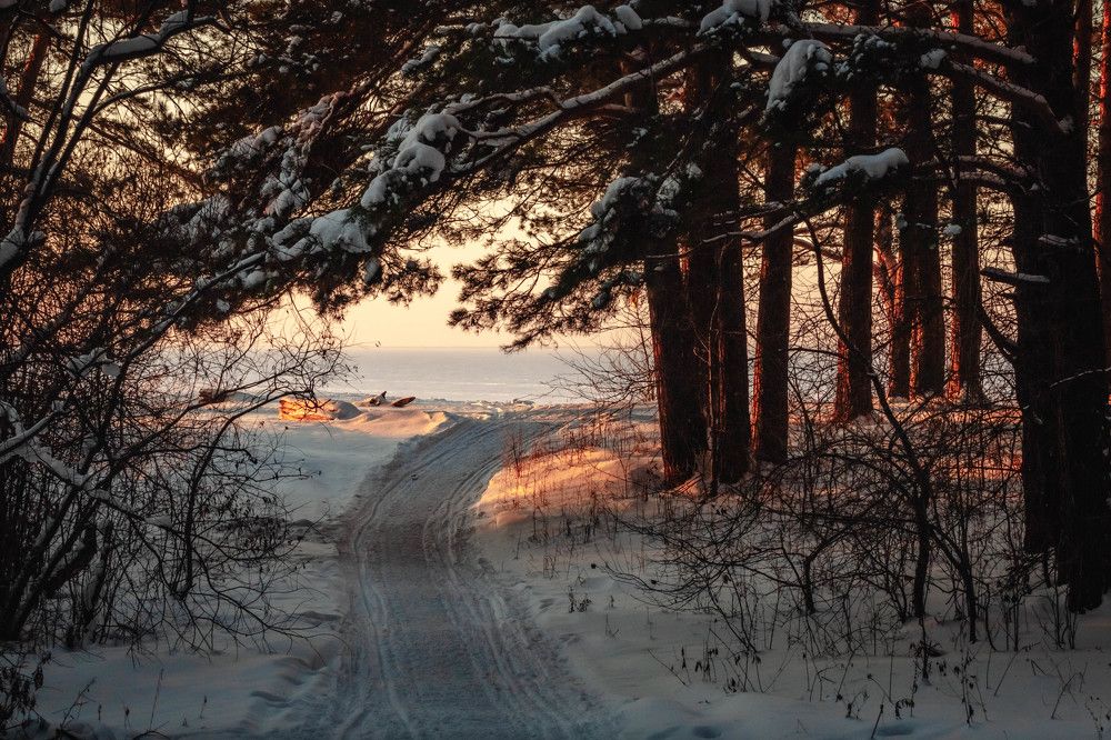 Фотография автора Вячеслав