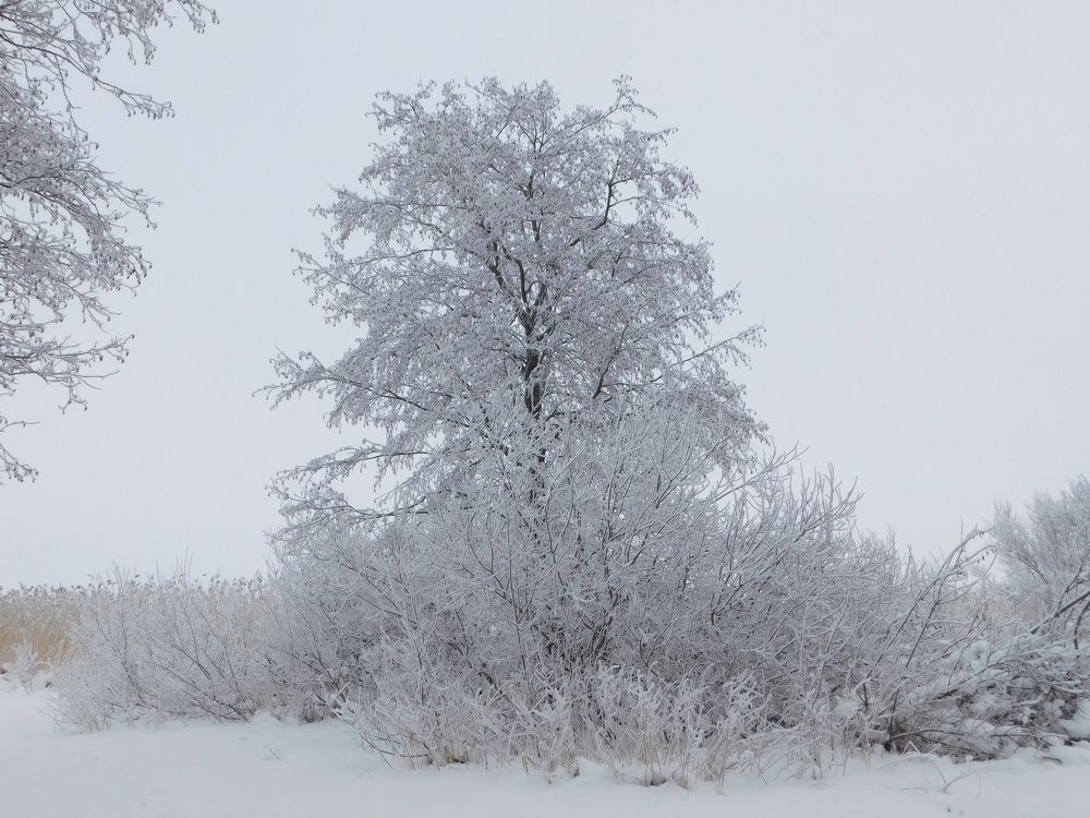 Photograph by Елена Грошева