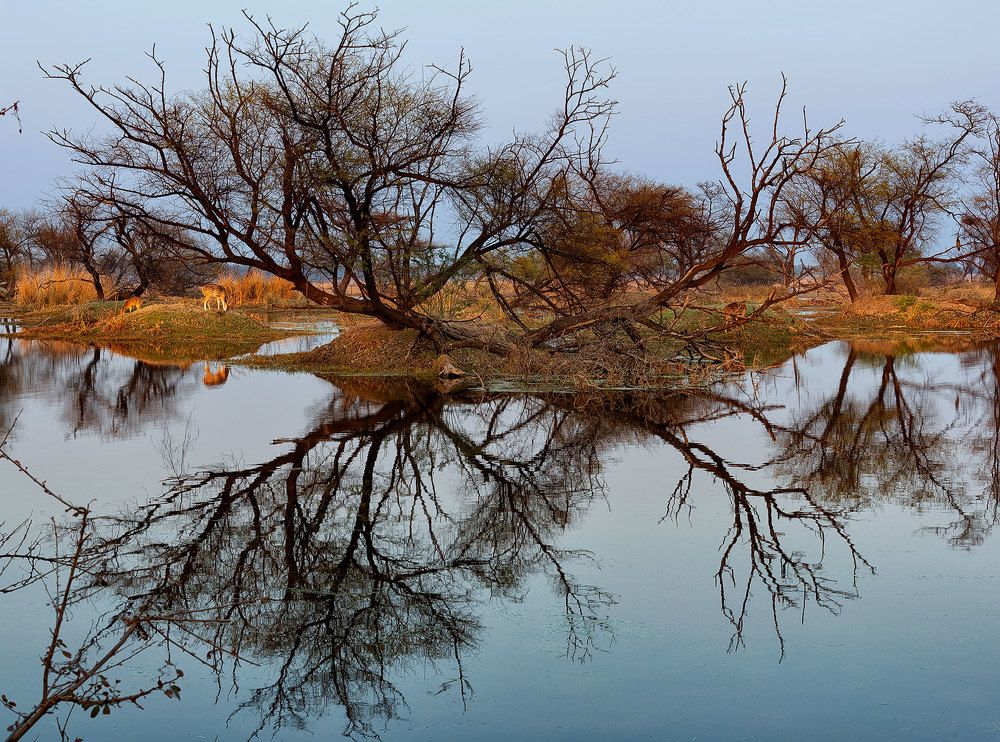 Photograph by Bibhas Deb