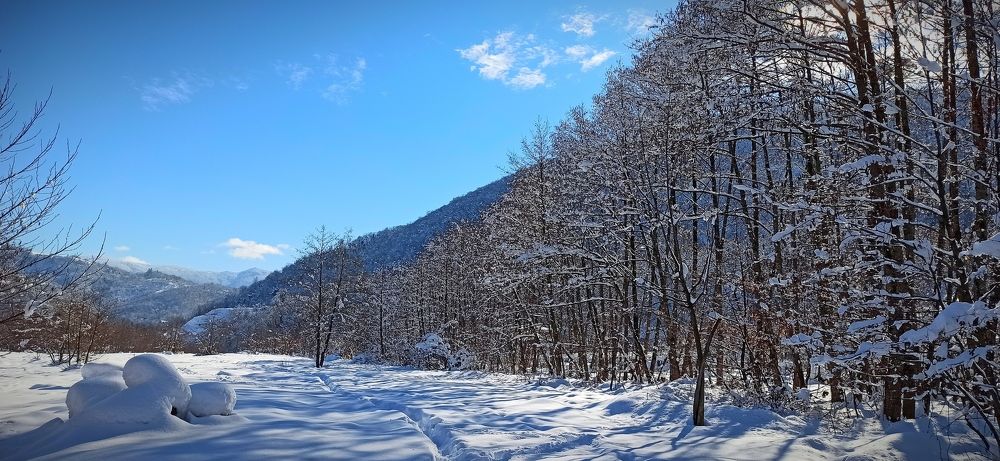 Photograph by Ольга