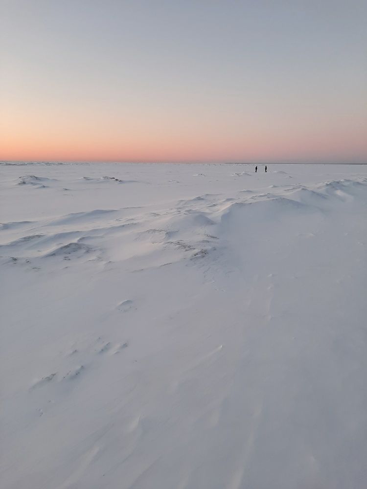 На берегу моря