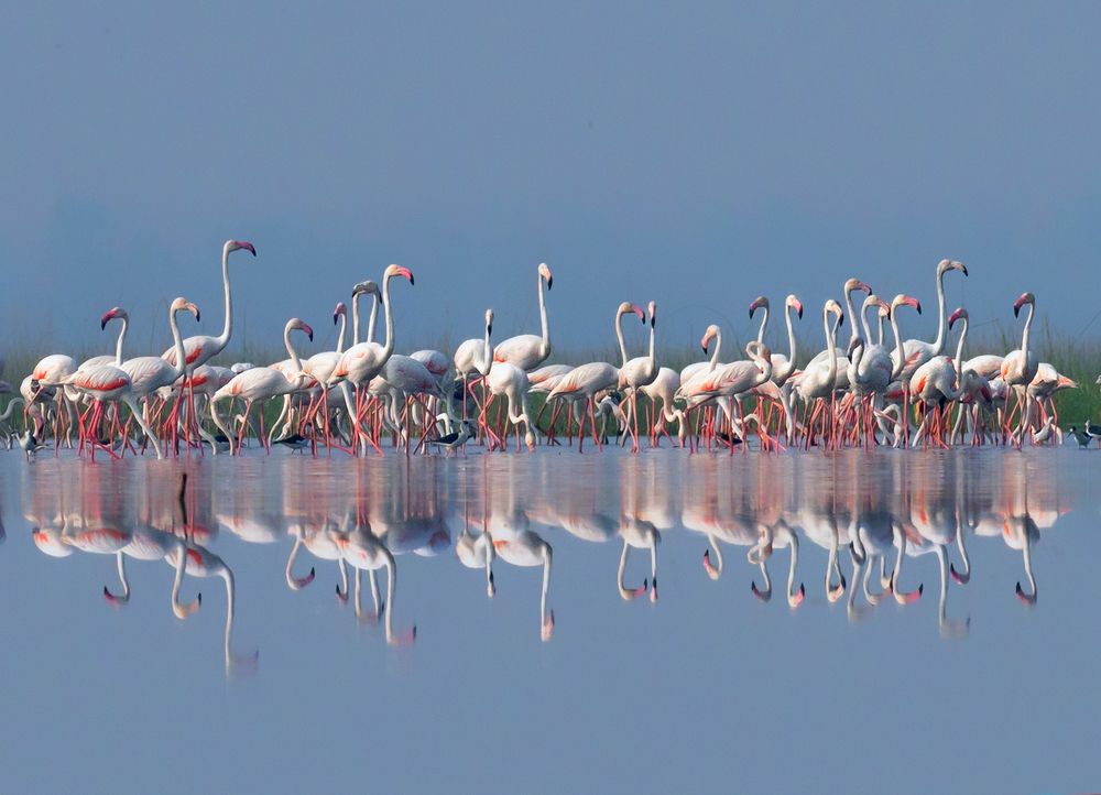 Photograph by Bibhas Deb