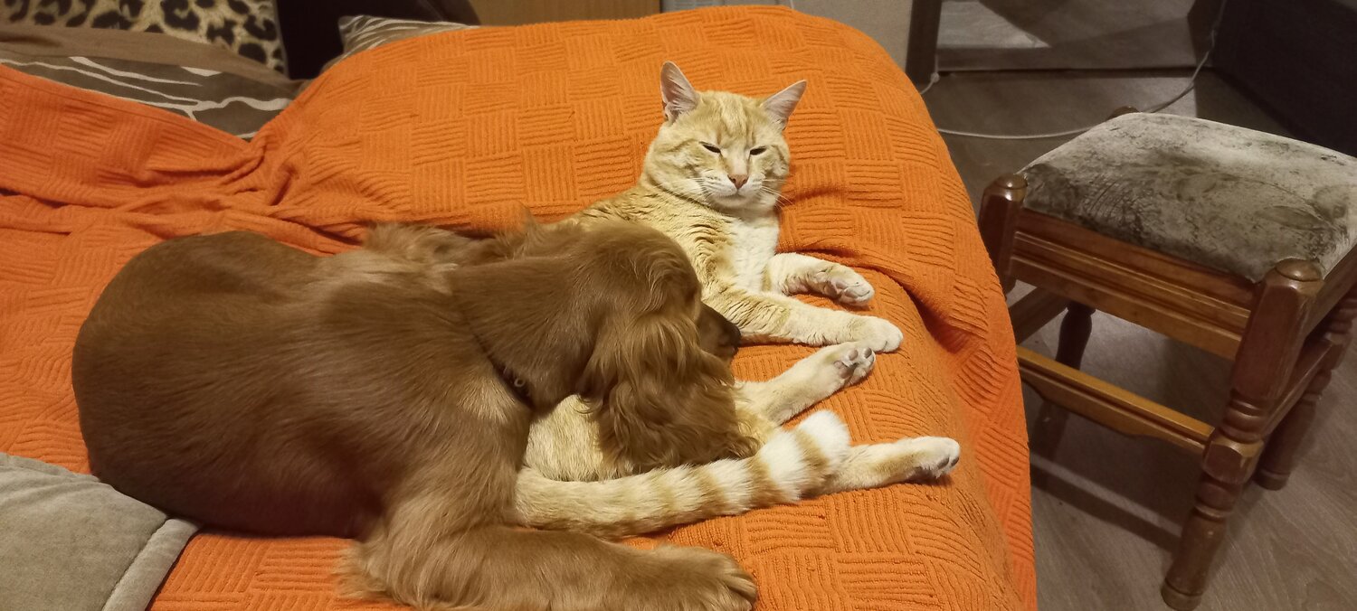 Photo #7058884