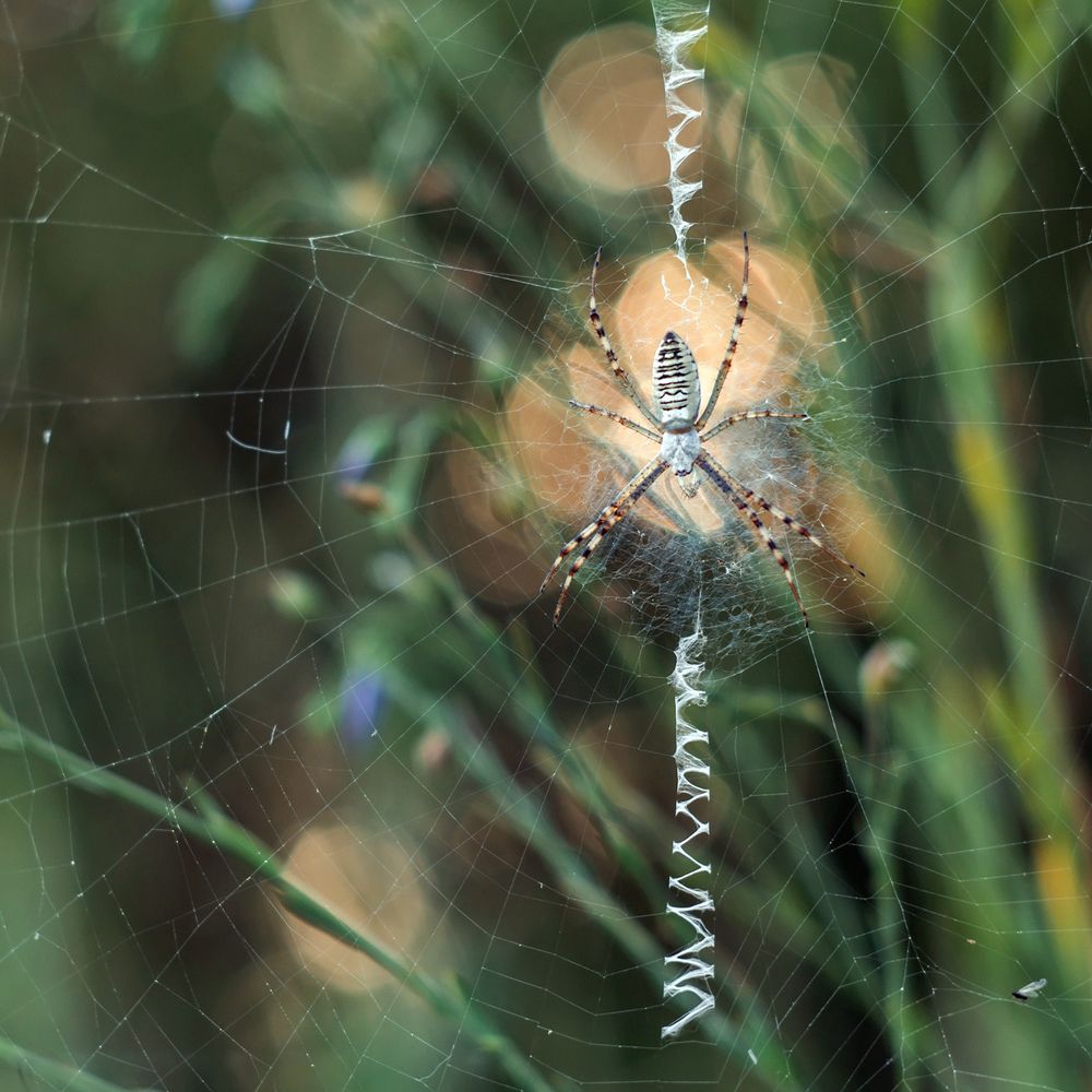 Photograph by Сарапулов Игорь