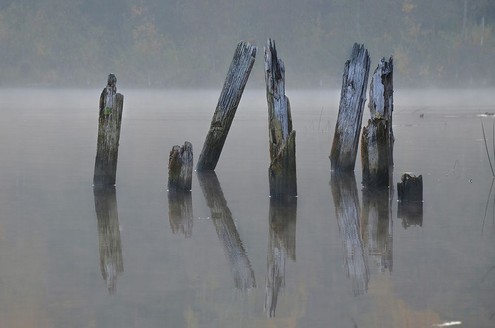 Photograph by SidorOFF Pavel