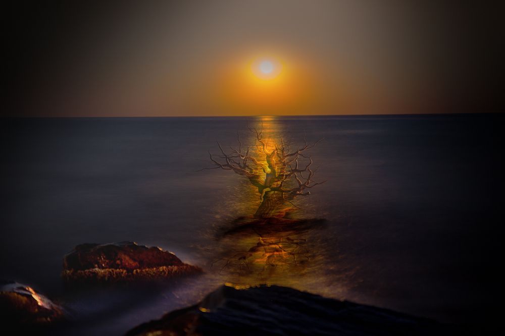 Photograph by Виктор Холодов