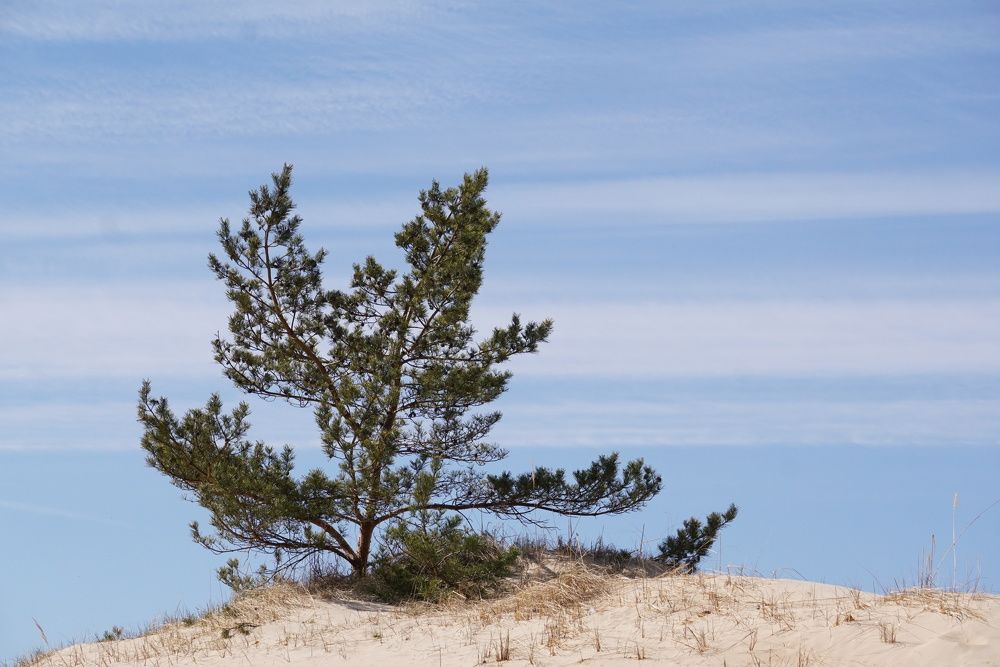 Photograph by NATALYA TOLSTOVA