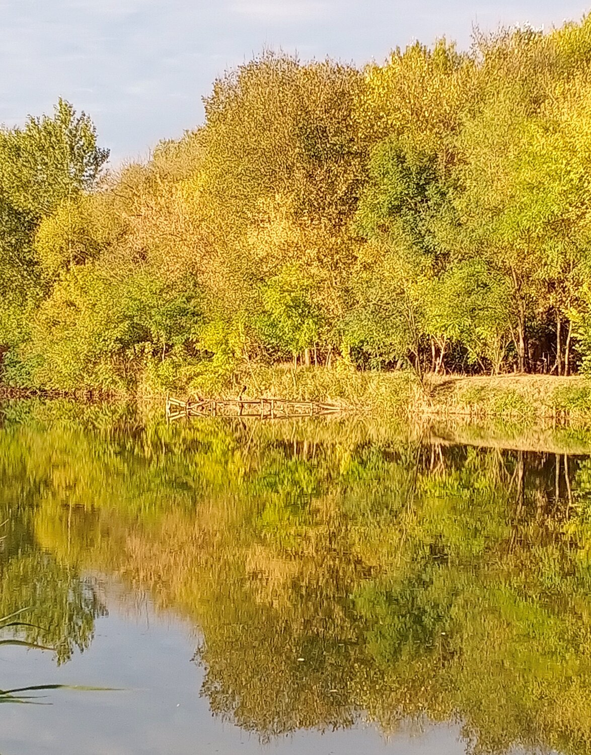 Зеркало