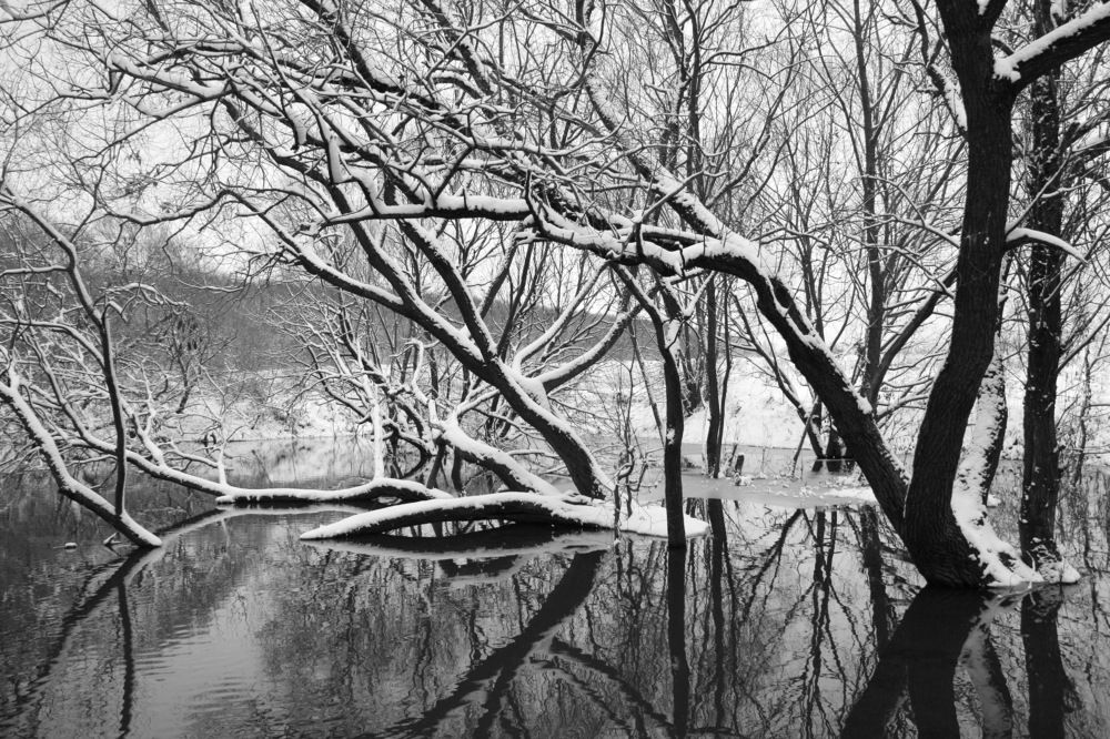 Photograph by Вадим Беляев