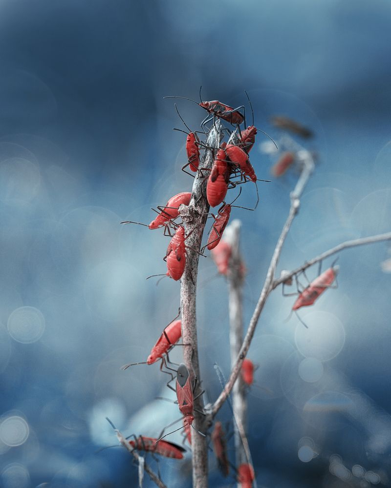 Photograph by Hemraj Chavhan A