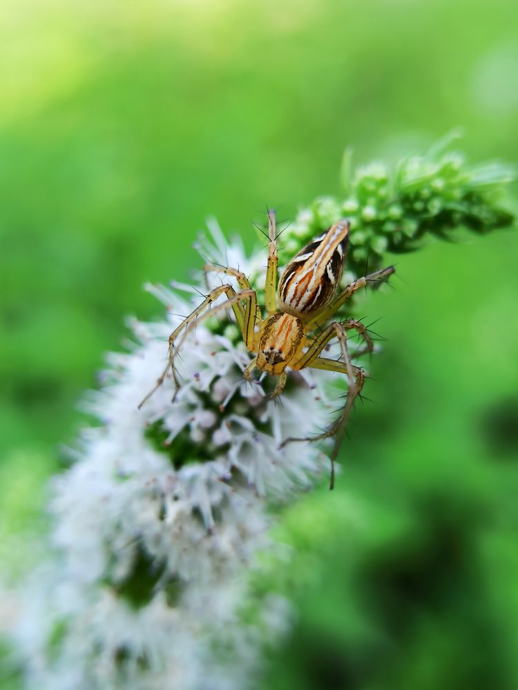 Photograph by Faixal Arshad