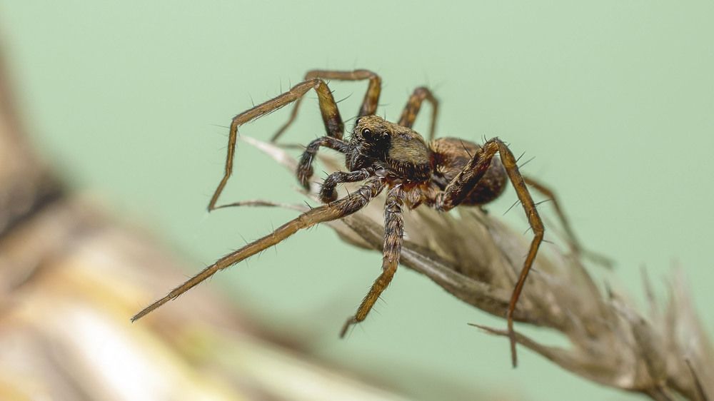 Photograph by Людмила Железнова