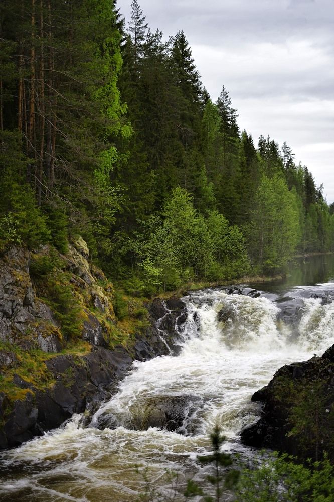 Photograph by Владимир Кочадыков