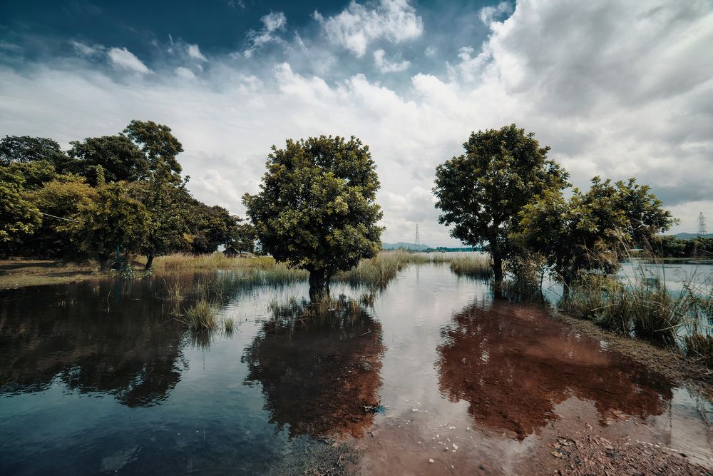 Photograph by Niranjan Baishya