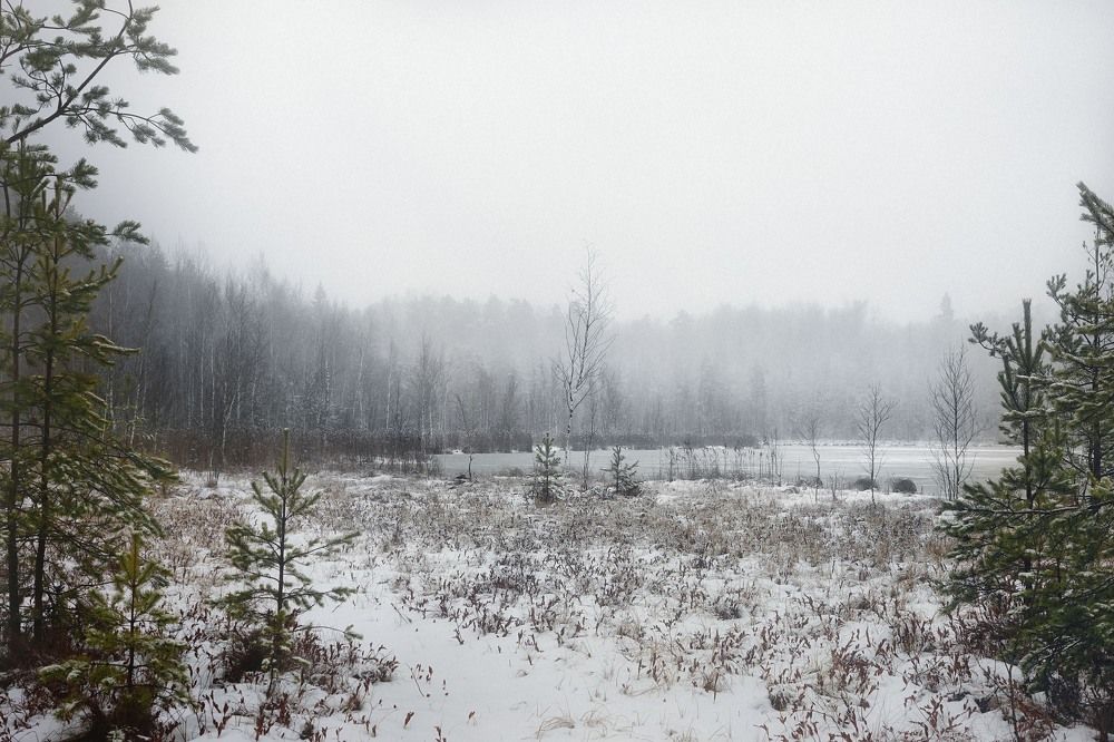 Photograph by Владимир Кочадыков