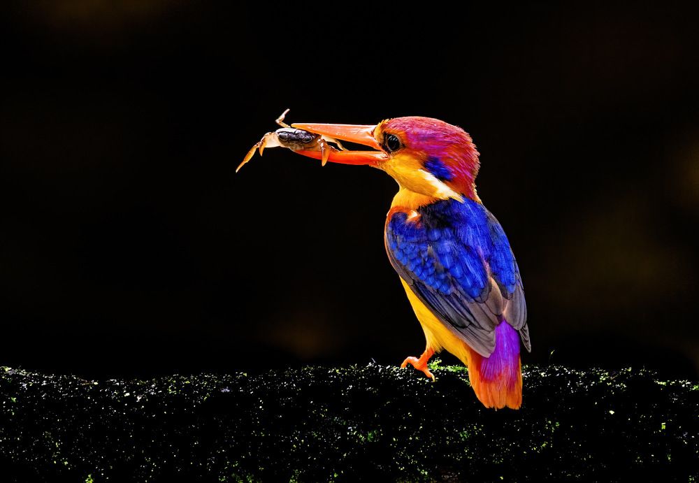 Photograph by Nitin Baste