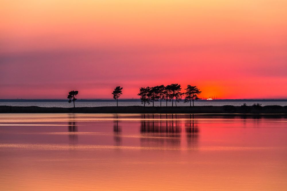 Photograph by Наталья Брюхненко