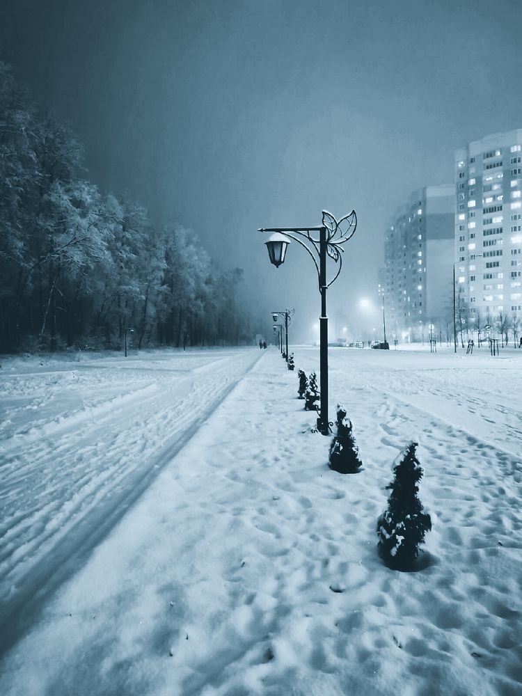 Photograph by Крылов Владимир