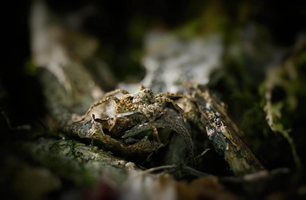 Photograph by Владимир Кочадыков