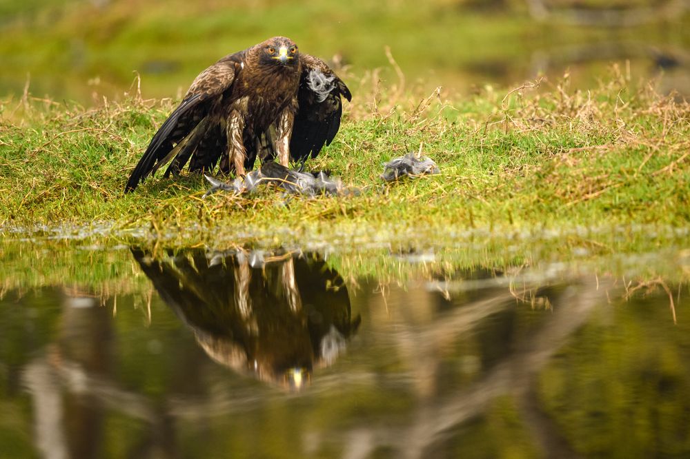 Фотография автора Prashant Parate