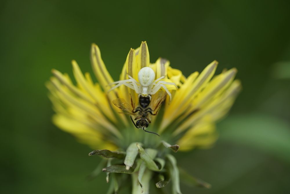 Photograph by Владимир Кочадыков