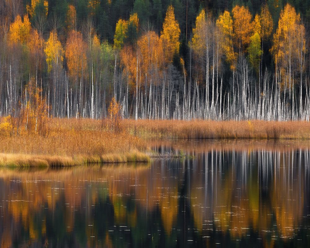 Photograph by Алексей Марголин